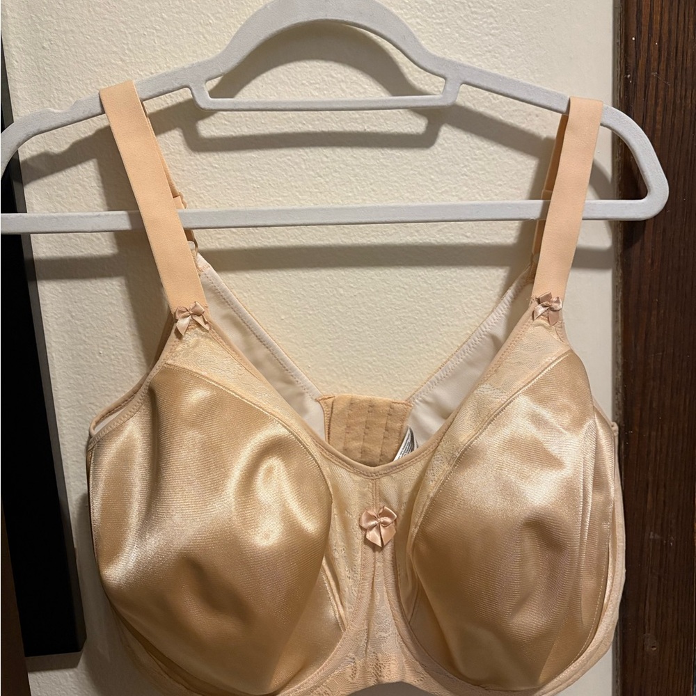 Goddess Yvette Back Smoothing Bra
